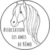 Logo of the association Association les amis de Kémo